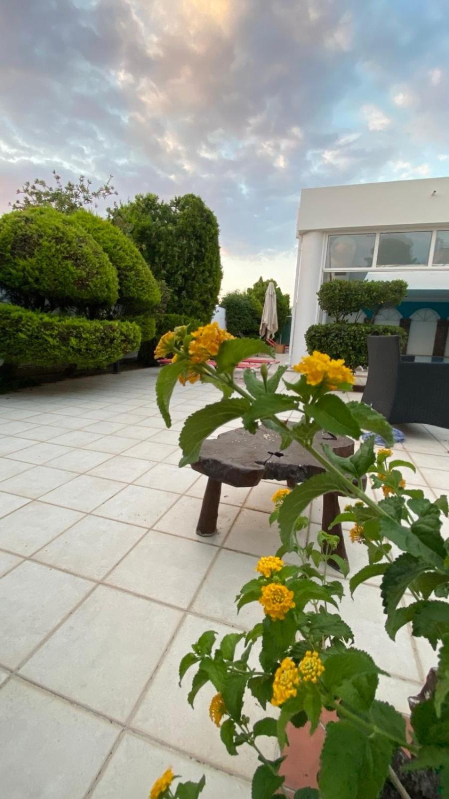 Hotel Kalloni فولوس المظهر الخارجي الصورة